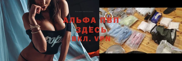 сатива Абинск