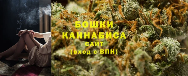 сатива Абинск