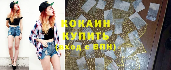 сатива Абинск
