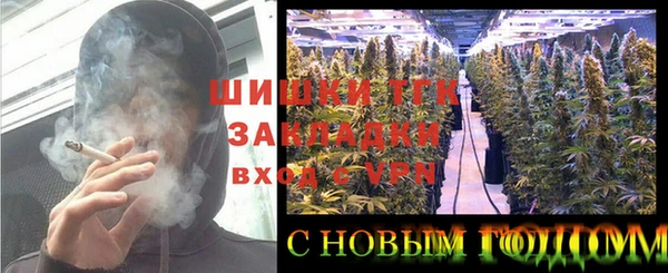 сатива Абинск