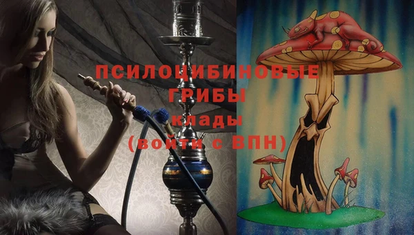 мяу мяу мука Абдулино