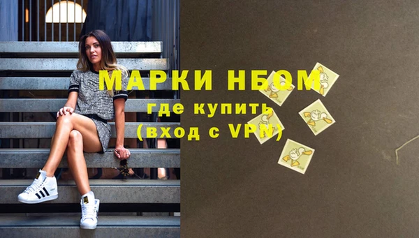 сатива Абинск