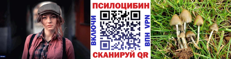 Псилоцибиновые грибы мухоморы  Шилка 